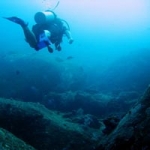 Professional Dive Training Courses