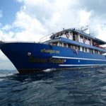 Queen Scuba liveaboard, kolak, similians