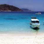 Similan diving at it's best with our daily speedboat trips on the Andaman