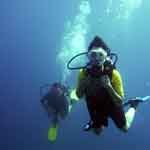diving from khao lak to the similans and surin islands 