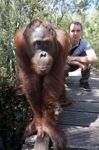 diving expeditions and diving safaris - borneo