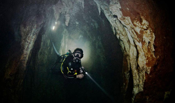 Khao sok Diving - amazing things to see and do