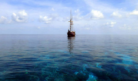 10 day dive expedition - Komodo to Gili