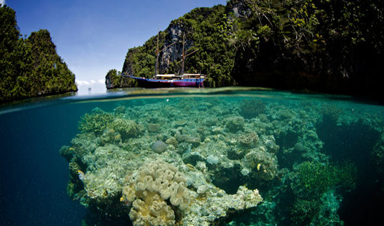 3 week diving expedition - remote indonesia