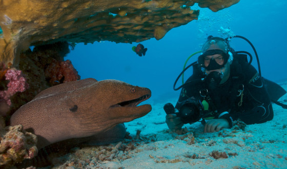 advanced dive training