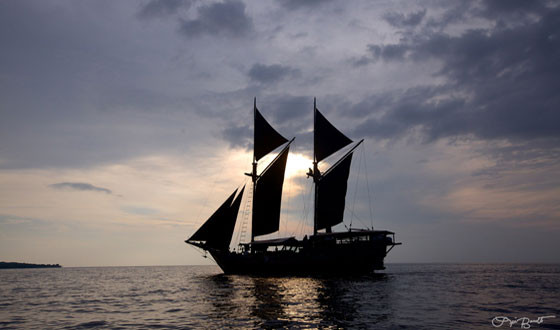 Raja Ampat Diving - it's paradise here!